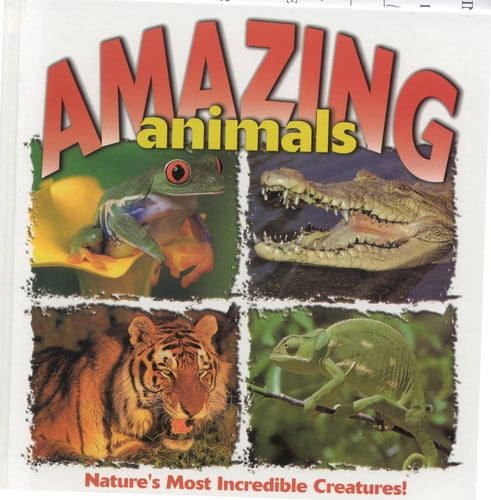 Amazing animals: nature's most incredible creatures