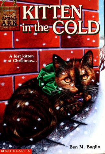 Kitten in the Cold