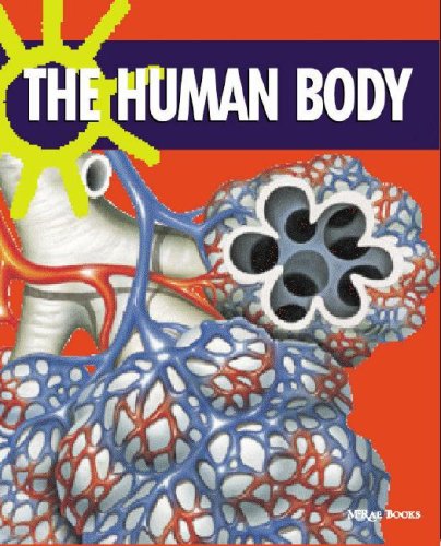 The Human Body (Back to Basics) - 9445