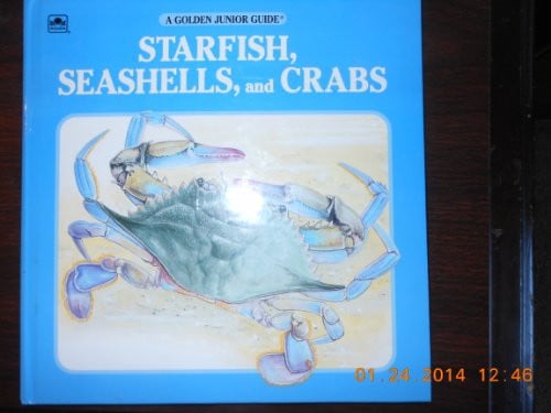 Starfish, seashells, and crabs