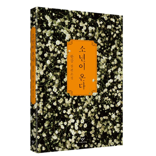 소년이 온다(Human Acts) by 한강(Han Kang): A Novel — Winner of the 2024 Nobel Prize in Literature (Original Korean Edition) - 5270