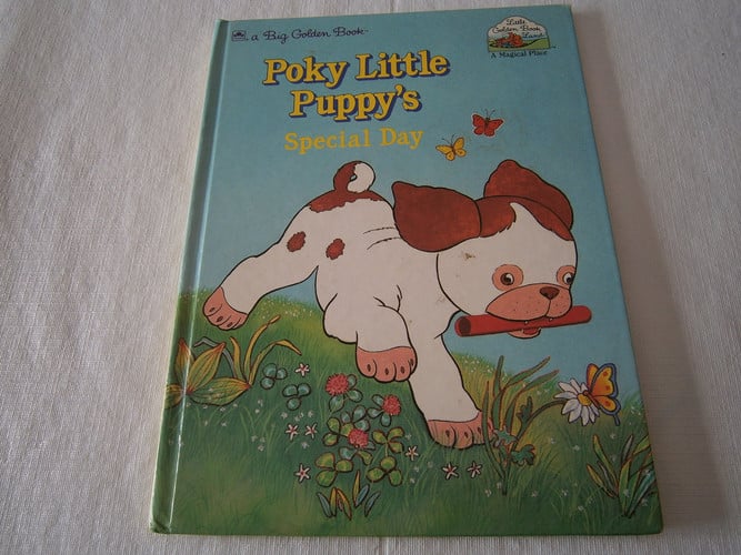 Poky Little Puppy's Special Day