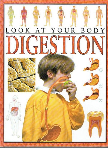Digestion