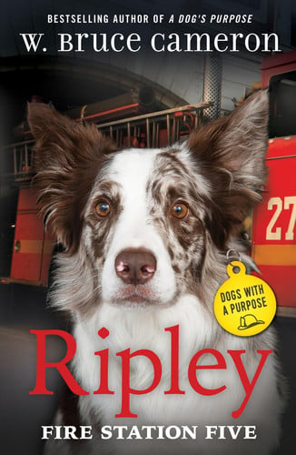 Ripley: fire station five