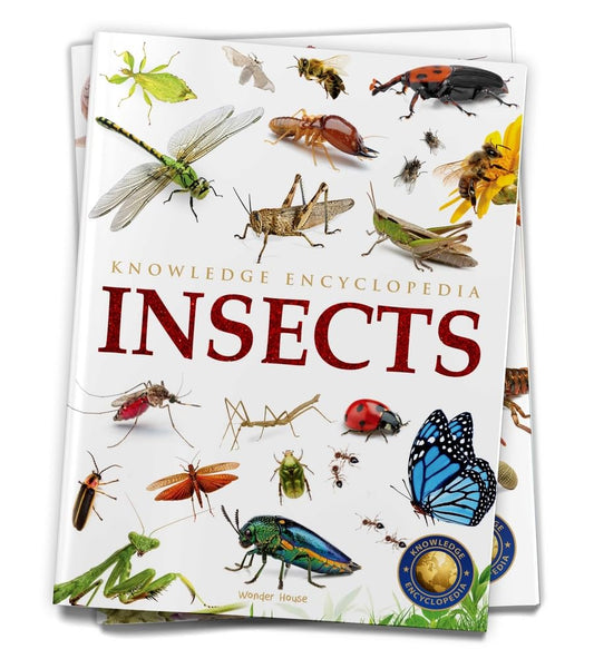 Animals: Insects (Knowledge Encyclopedia For Children) - 526