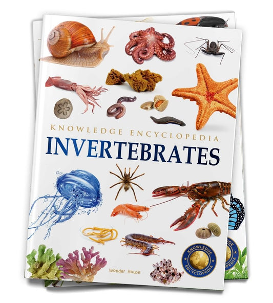 Animals: Invertebrates (Knowledge Encyclopedia For Children) - 9939