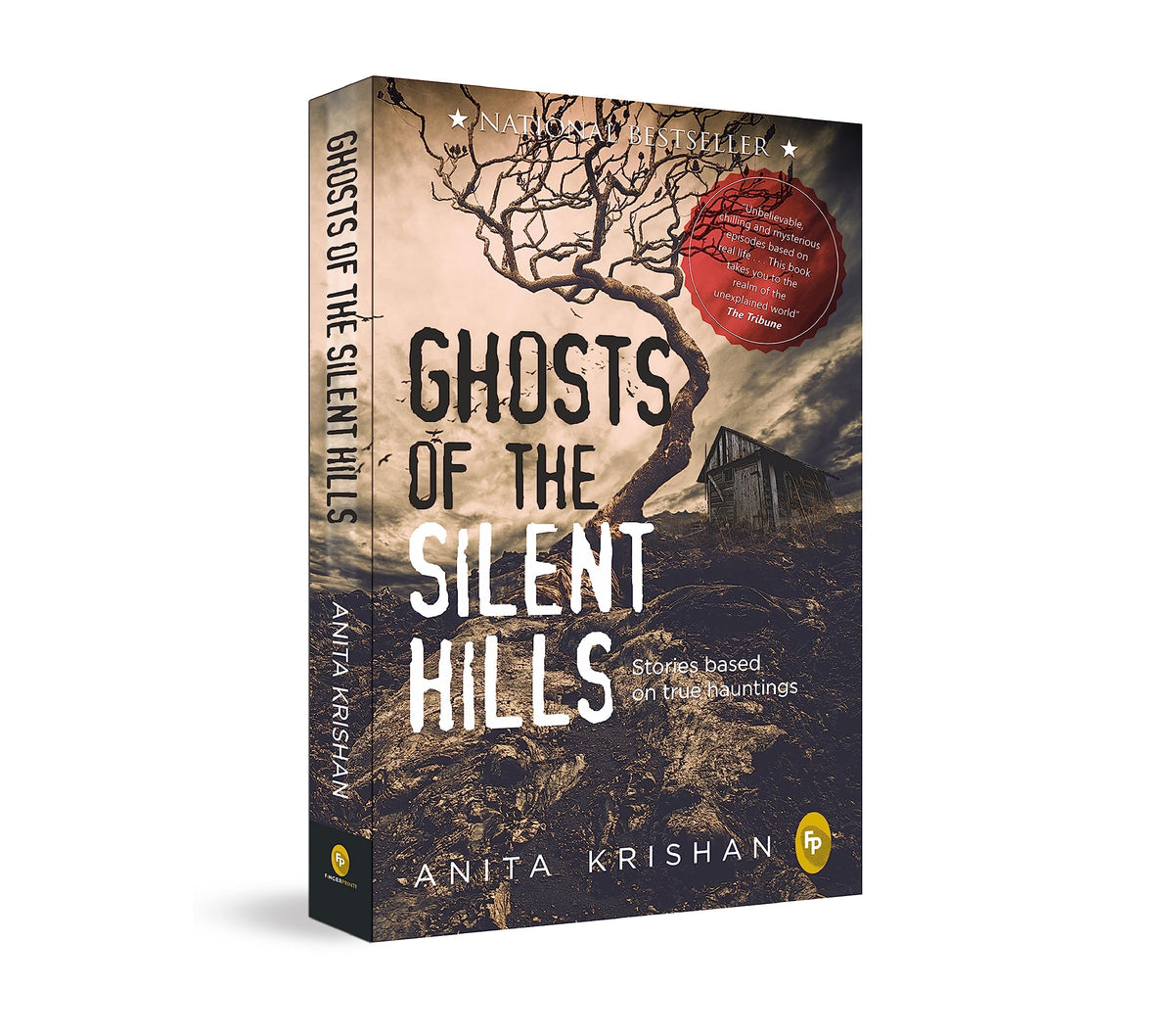 Ghosts of The Silent Hills: Stories based on true hauntings