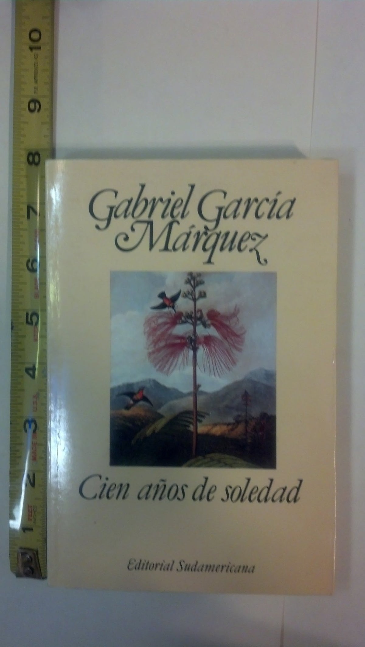 Cien Años de Soledad/ 100 Years of Solitude