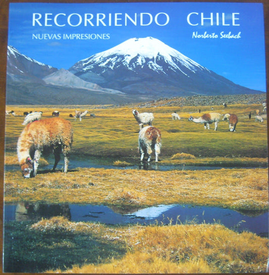 RECORRIENDO CHILE. Impresiones. TRAVELLING THROUGH CHILE. Impressions. UNTERWEGS IN CHILE. Eindrucke.
