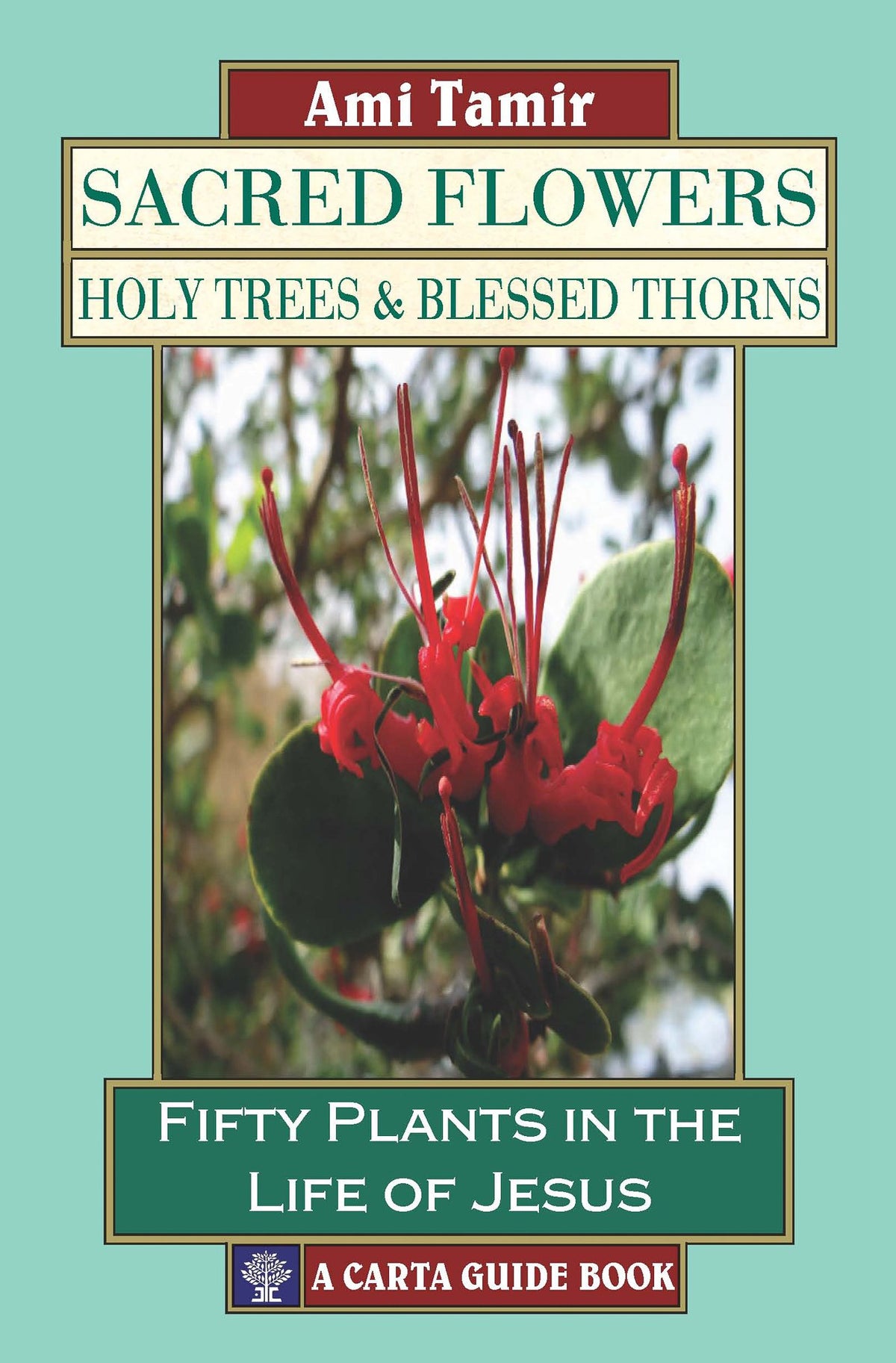 Sacred Flowers, Holy Trees, & Blessed Thorns: Fifty Plants in the Life of Jesus