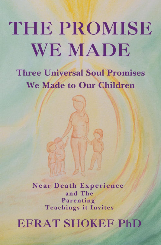 The Promise We Made: Three Universal Soul Promises We Made to Our Children