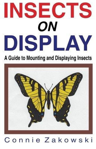 Insects on display: a guide to mounting and displaying insects