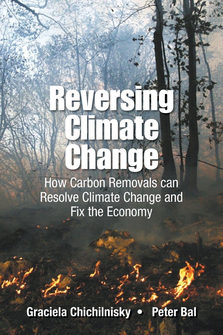 Reversing Climate Change: How Carbon Removals Can Resolve Climate Change And Fix The Economy