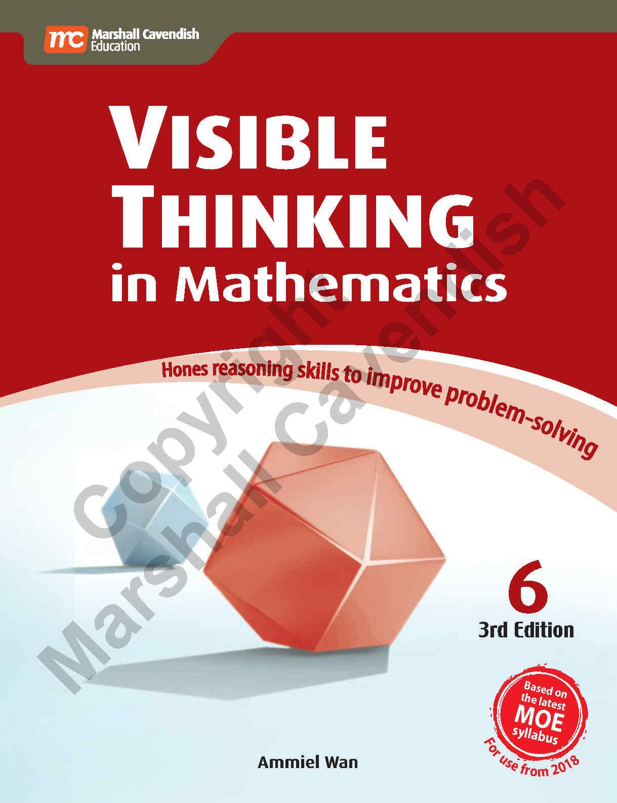 Visible Thinking in Mathematics 6 (3rd Edition)