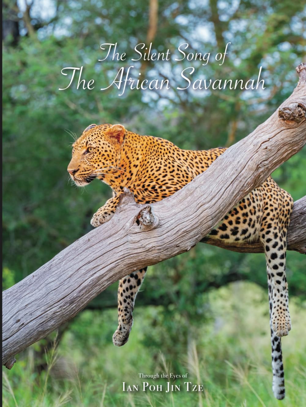 The Silent Song of The African Savannah