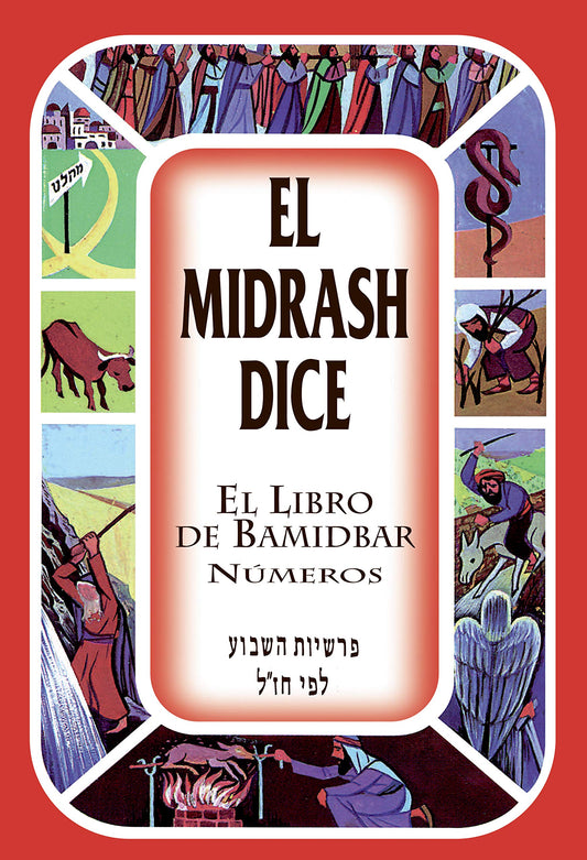 El Midrash Dice El Libro De Bamidbar Numeros Tapa Dura - 8168