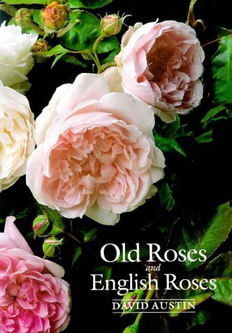 Old Roses and English Roses - 2562