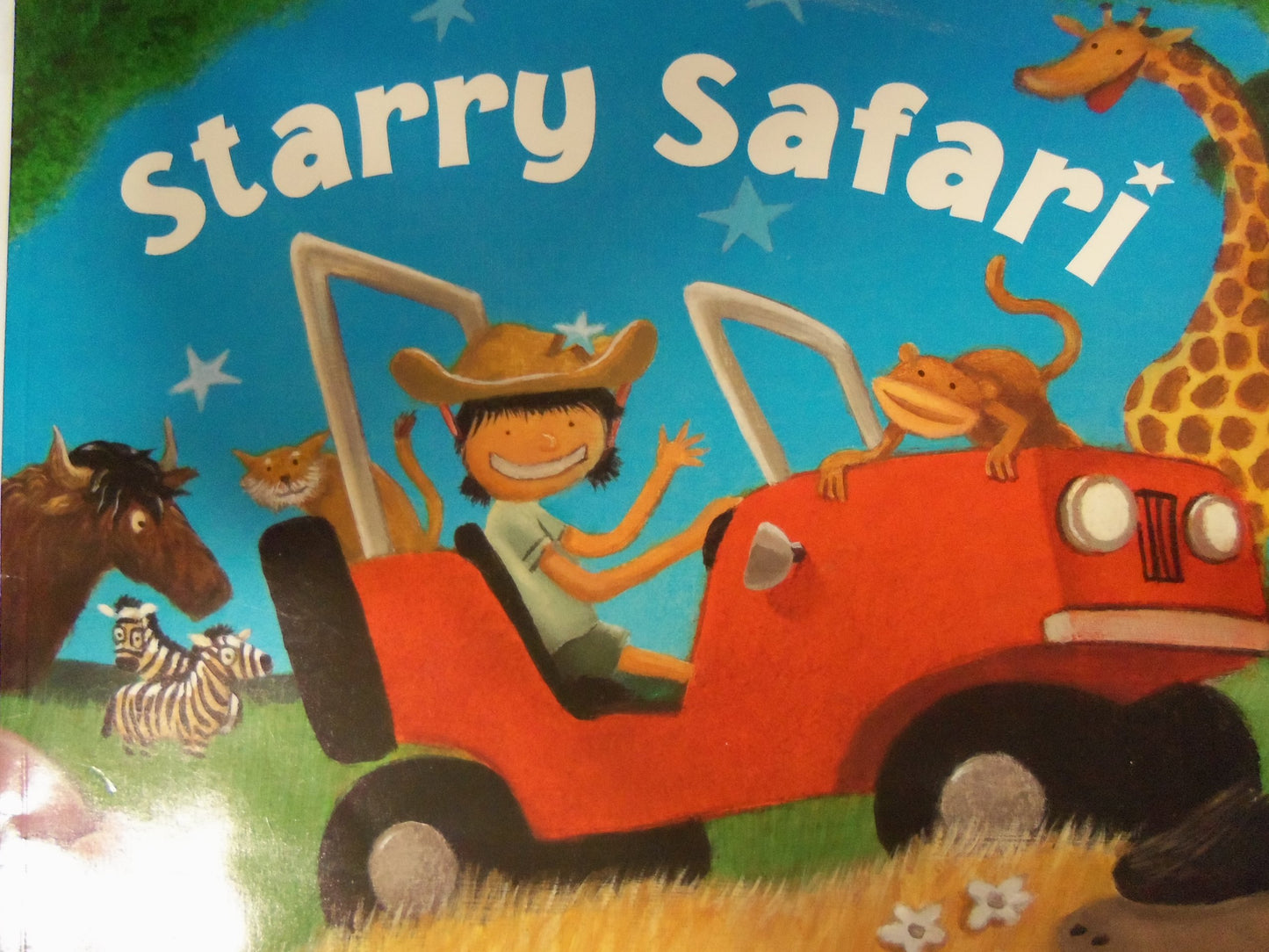 Starry Safari