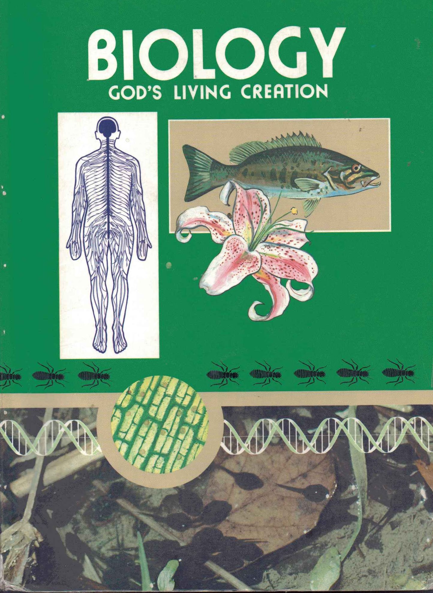 Biology God's Living Creation