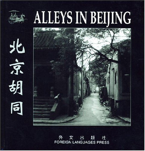 ALLEYS IN BEIJING