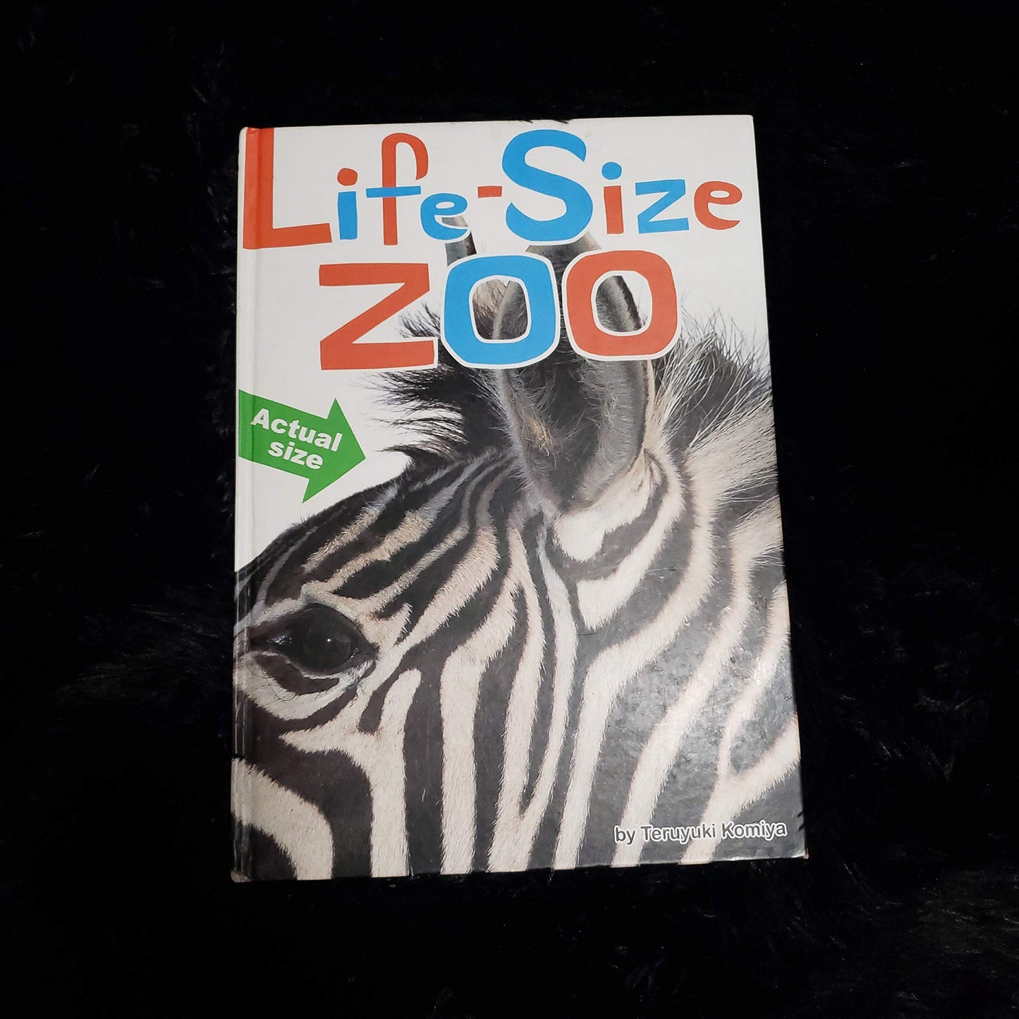 Life-Size Zoo: From Tiny Rodents to Gigantic Elephants, An Actual Size Animal En