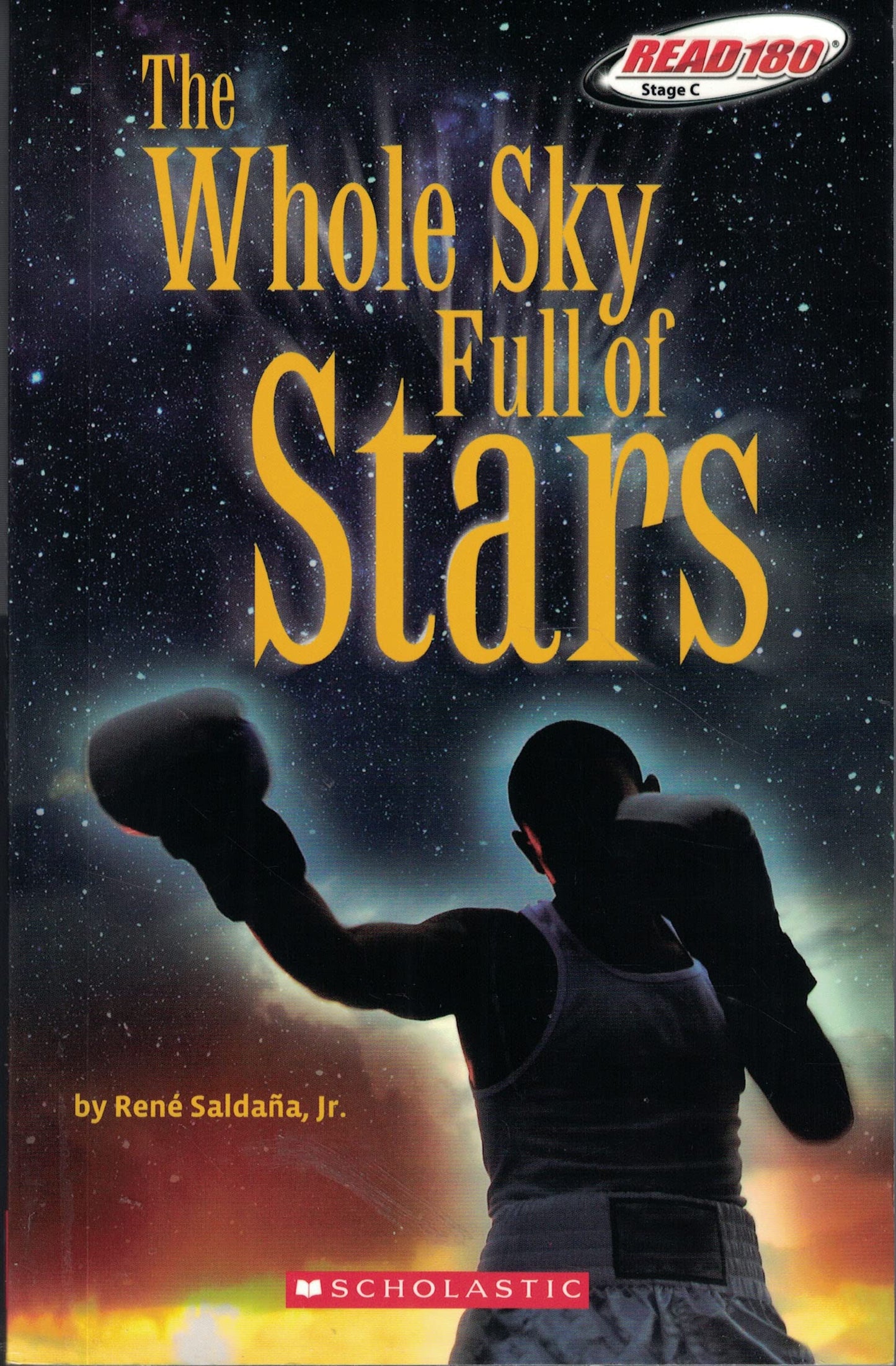 The Whole Sky Full of Stars (Read 180 Stage C)