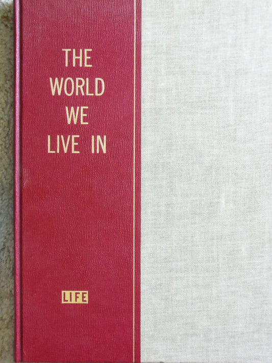 The World We Live In - 8998