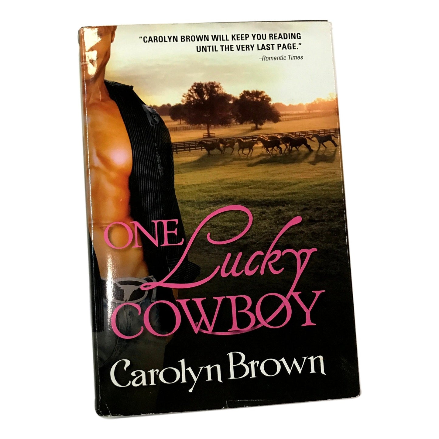 One Lucky Cowboy (Hardcover BCE)