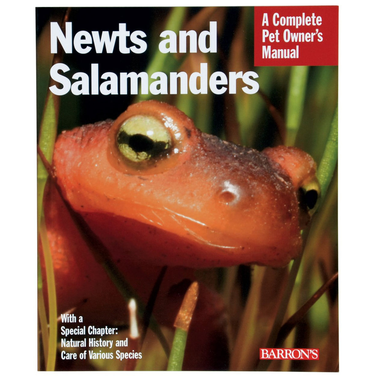Barron's Publishing Newts & Salamanders Rev