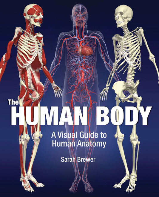 The Human Body: A Visual Guide to Human Anatomy