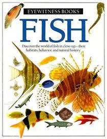 Eyewitness Fish