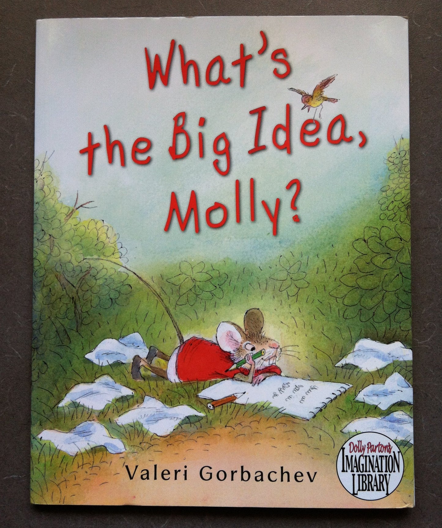 What's the Big Idea, Molly? (Dolly Parton's Imagination Library) by Valeri Gorbachev (2010-05-03)
