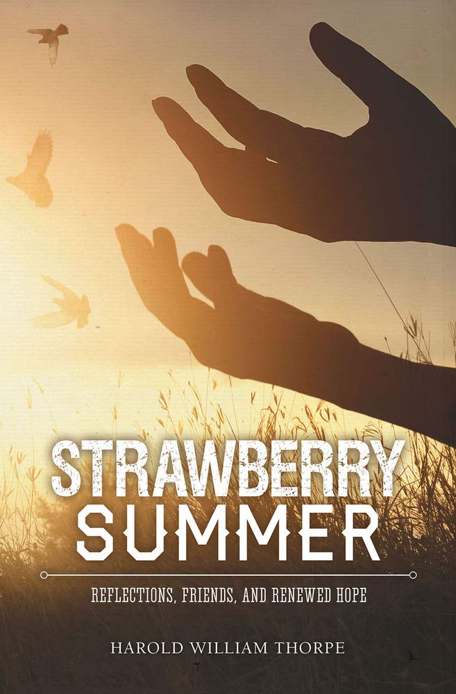 Strawberry Summer: Reflections, Friends, and Renewed Hope (The O'Shaughnessy Chronicles, 4)