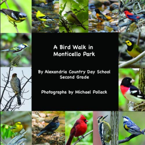 A Bird Walk in Monticello Park - 8987