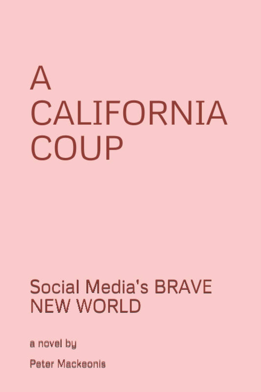 A CALIFORNIA COUP: Silicon Valley's Play to Take Over the Government