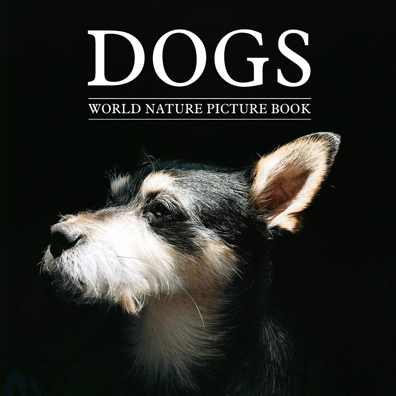 DOGS World Nature Picture Book: Gift Picture Book for Dog Lover, Alzheimer's Patients and Seniors with Dementia - 5430