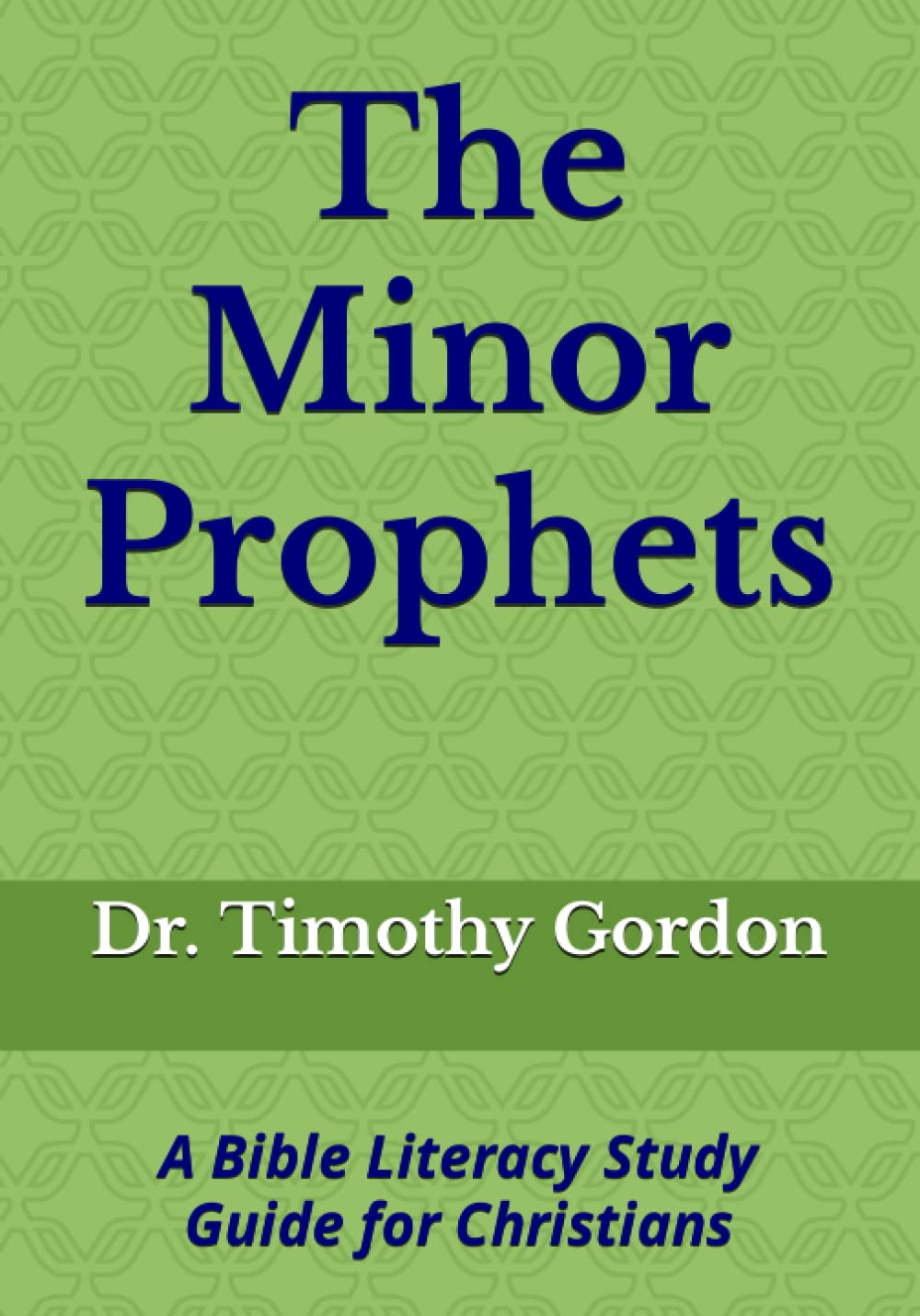 The Minor Prophets: A Bible Literacy Study Guide for Christians