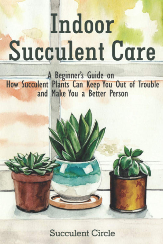 Indoor Succulent Care: A Beginner's Guide on How Succulent Plants Can Keep You Out of Trouble and Make You a Better Person - 3905
