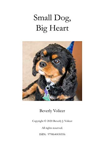 Small Dog, Big Heart