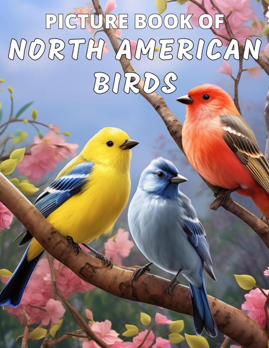 Picture Book Of North American Birds: Colorful Extra-Large Print Bird Pictures With Names | A Gift/Present Book for Alzheimer's Patients, ... and Other Life Challenges (Dementia Books) - 6607