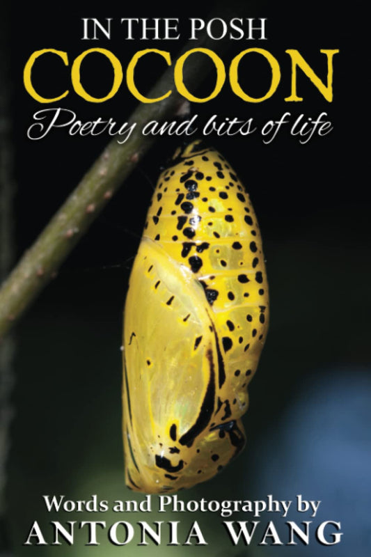 In the Posh Cocoon: Poetry and Bits of Life - 4837