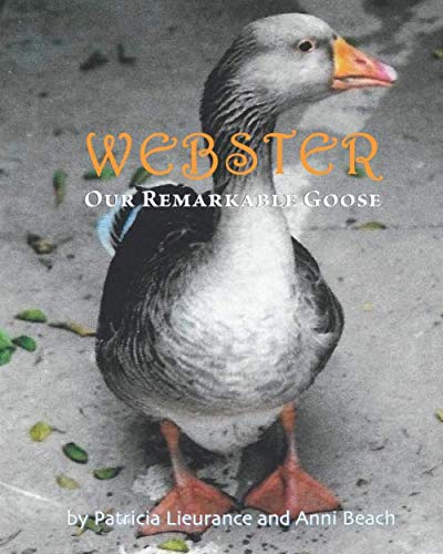Webster Our Remarkable Goose - 4984