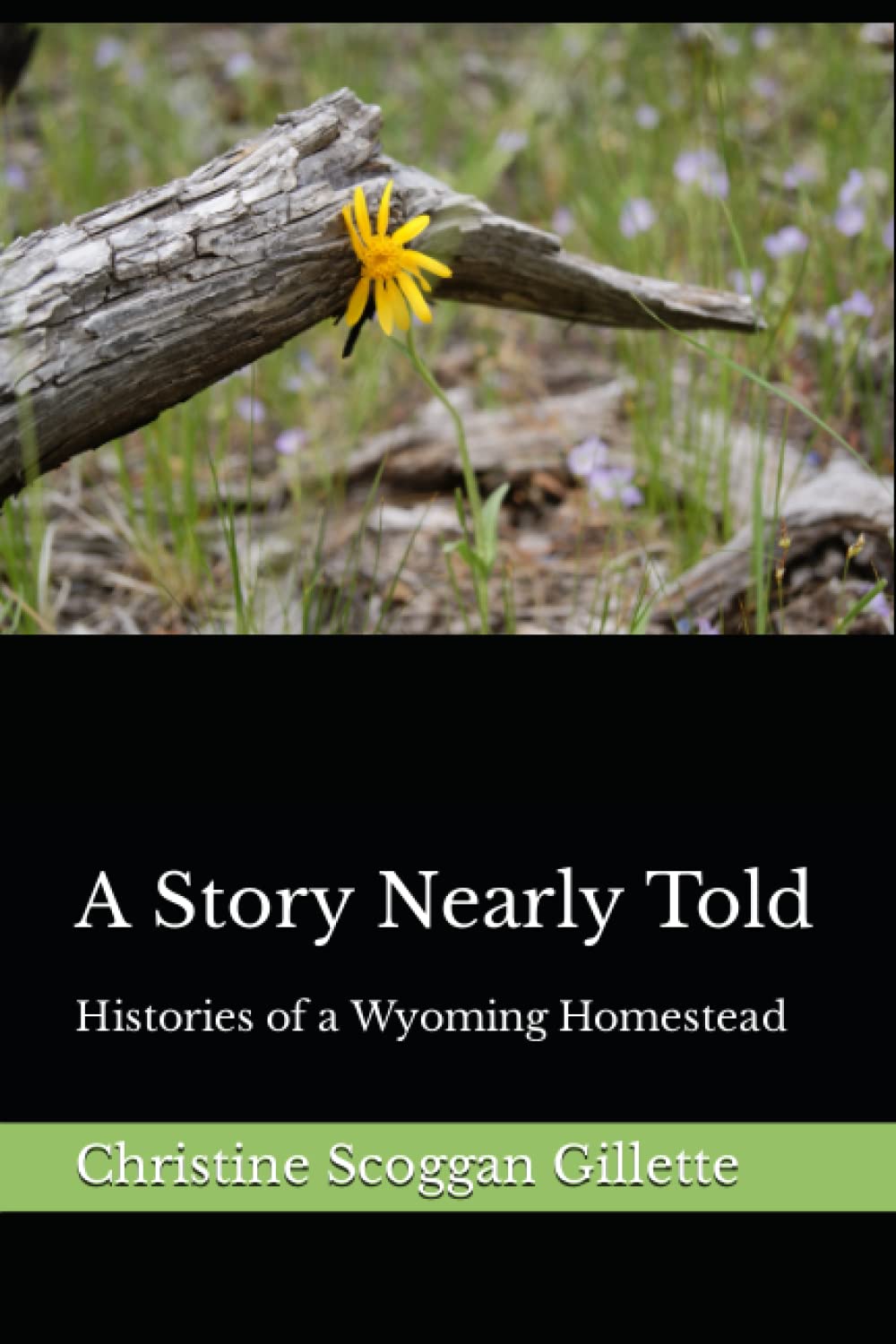 A Story Nearly Told: Histories of a Wyoming Homestead