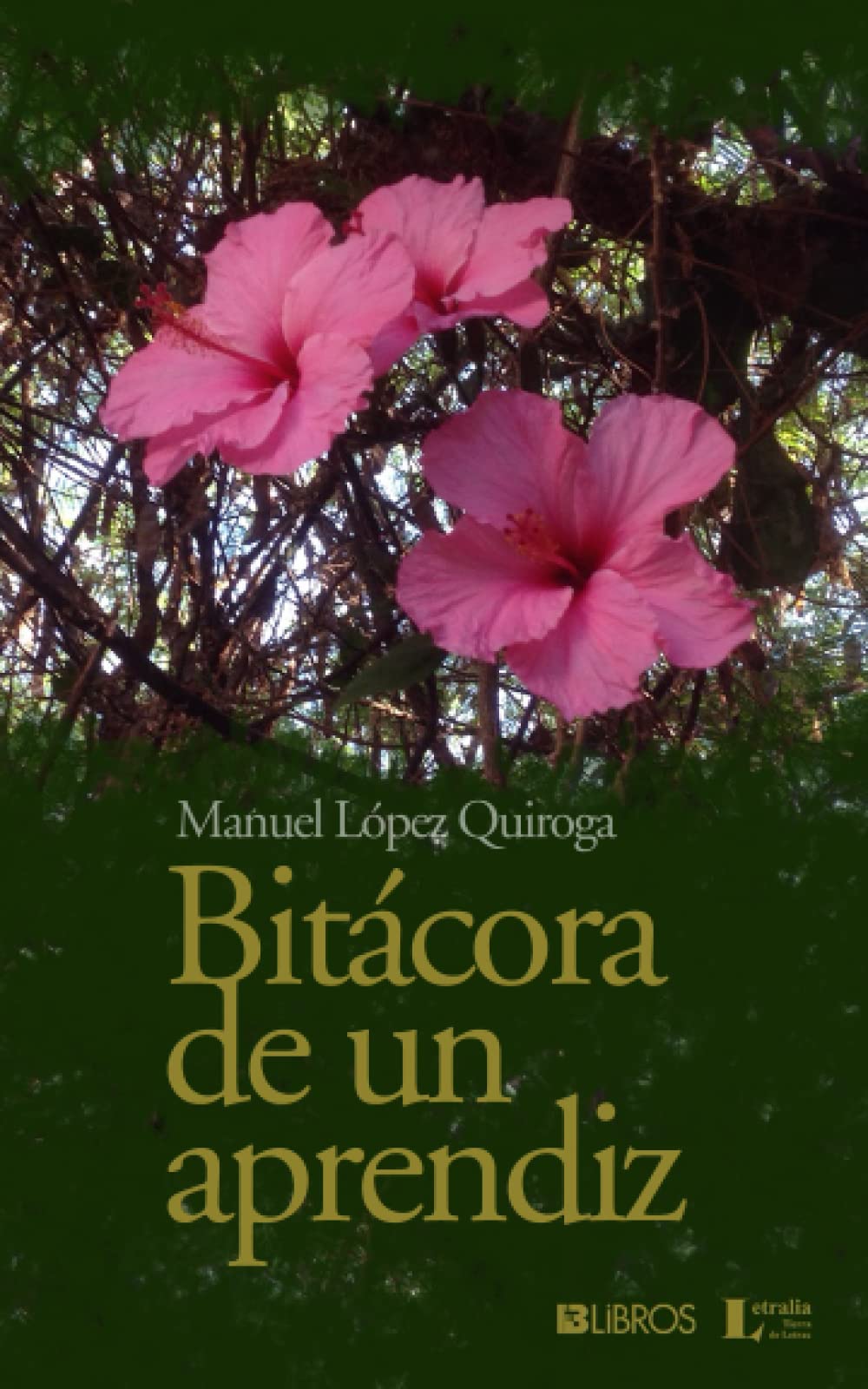 Bitácora de un aprendiz (Spanish Edition)