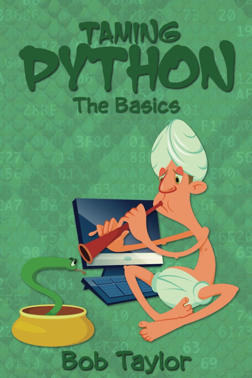 Taming Python: The Basics