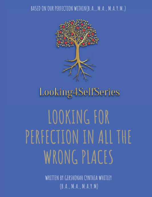 Looking For Perfection In All The Wrong Places: Based on Our Perfection Within (Looking4selfseries)