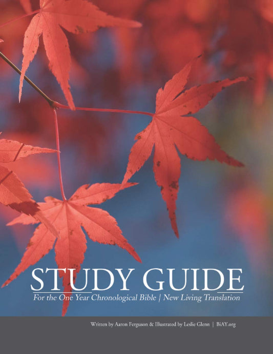 Study Guide for the One Year Chronological Bible: Read the Bible in a Year and Enjoy It (Study Guide and Daily Reflections for the One Year Chronological Bible) - 5142