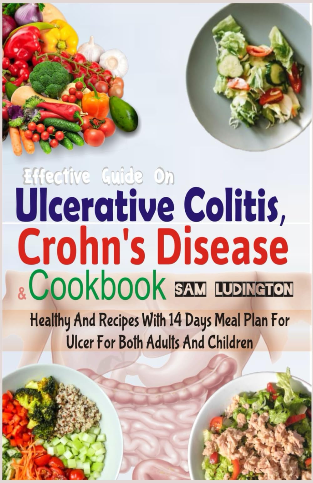 Effective Guide on Ulcerative Colitis, Crohn's Disease and Cookbook: Healthy and Recipes with 14 days meal plan for ulcer for both adults and children