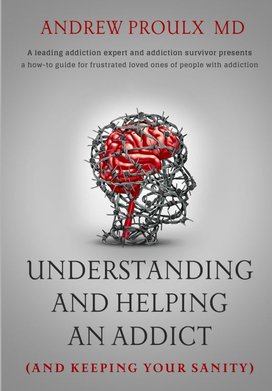 Understanding and Helping an Addict (and keeping your sanity) - 3813