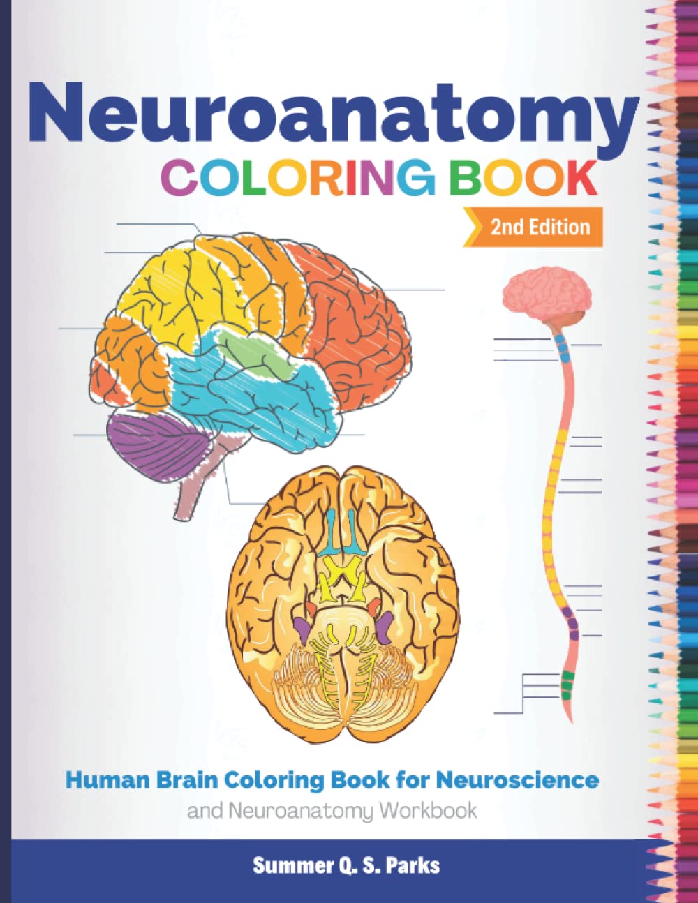Neuroanatomy Coloring Book: Human Brain Coloring Book for Neuroscience and Neuroanatomy Workbook - 3238